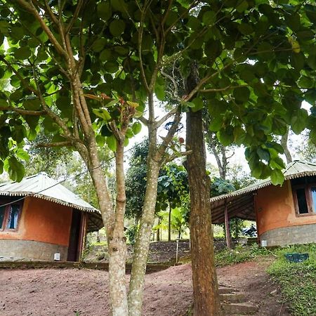 Punarjani Ayurvedic Resorts Ramakkalmedu Экстерьер фото