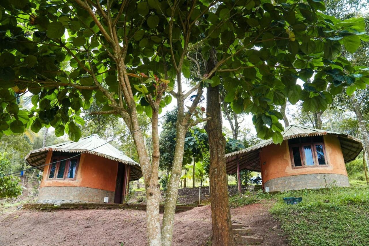 Punarjani Ayurvedic Resorts Ramakkalmedu Экстерьер фото