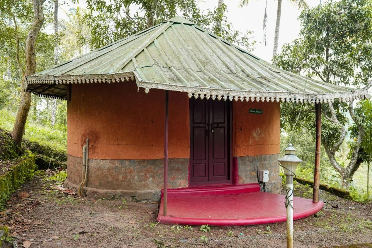 Punarjani Ayurvedic Resorts Ramakkalmedu Экстерьер фото