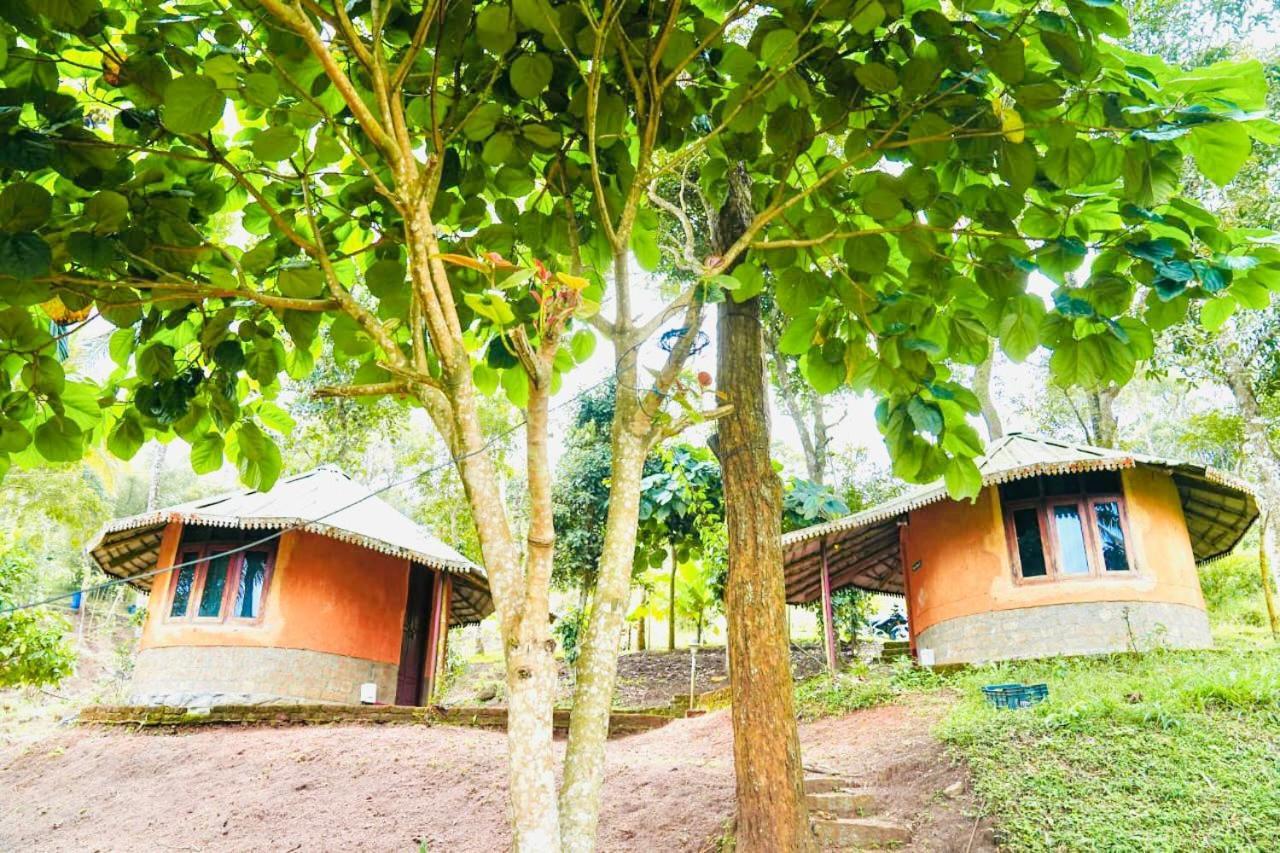 Punarjani Ayurvedic Resorts Ramakkalmedu Экстерьер фото