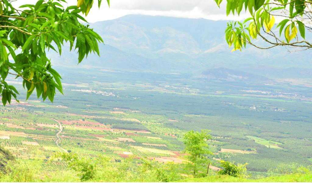 Punarjani Ayurvedic Resorts Ramakkalmedu Экстерьер фото
